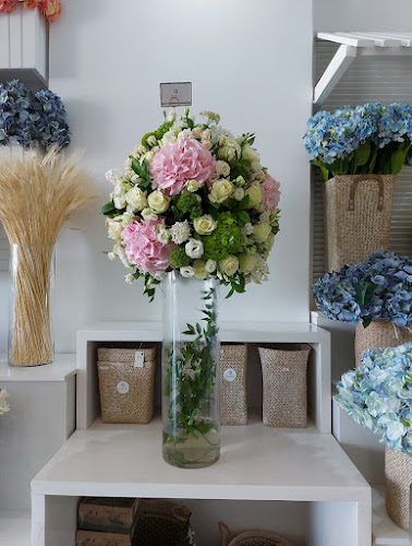 نباتات - الدمام