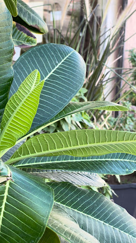 Comentarii opinii despre مطعم ومطبخ الطباخ المديني