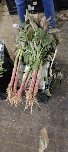 Opinii despre سوق جملة الملابس în الدمام - الضيافة