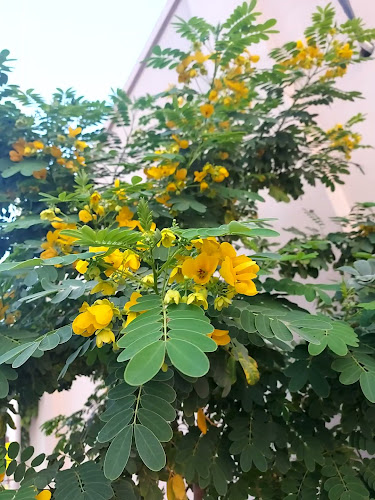 Comentarii opinii despre مطعم وشواية الورود البخاري