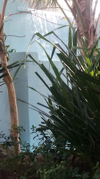 Comentarii opinii despre هاينان