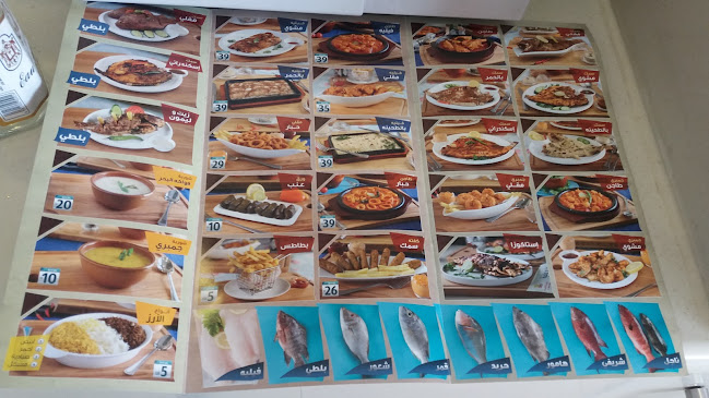 FM2M+Q77، بكر بن الشداخ، مذينب، المدينة المنورة 42364